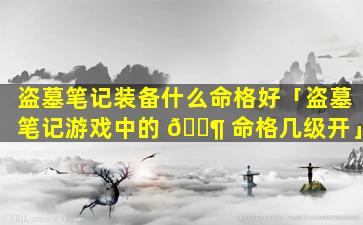 盗墓笔记装备什么命格好「盗墓笔记游戏中的 🐶 命格几级开」
